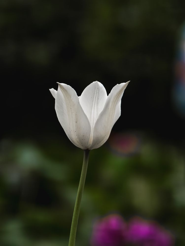 Photograph by Евгений Порсов