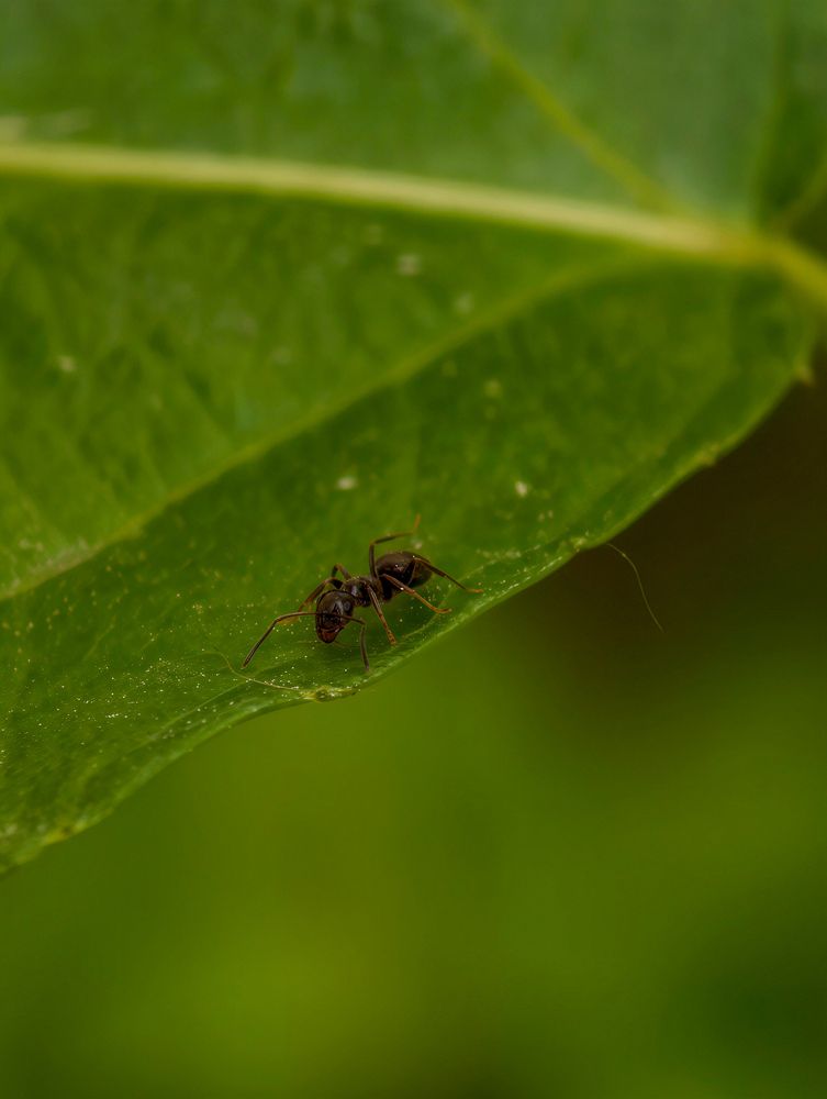 Photograph by Евгений Порсов