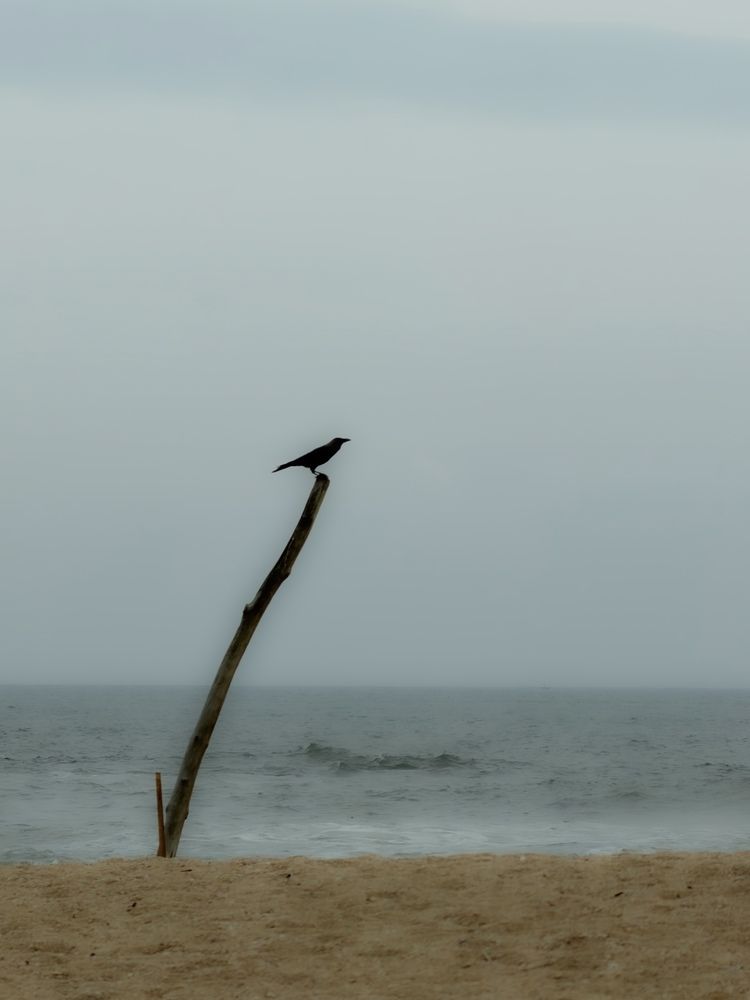 Photograph by Оксана Абакумова