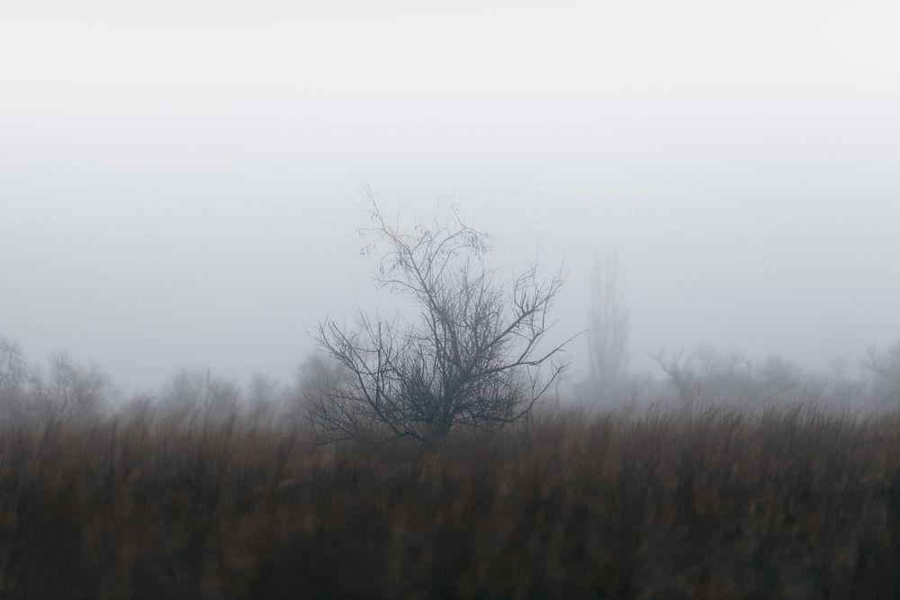 Photo #13665952