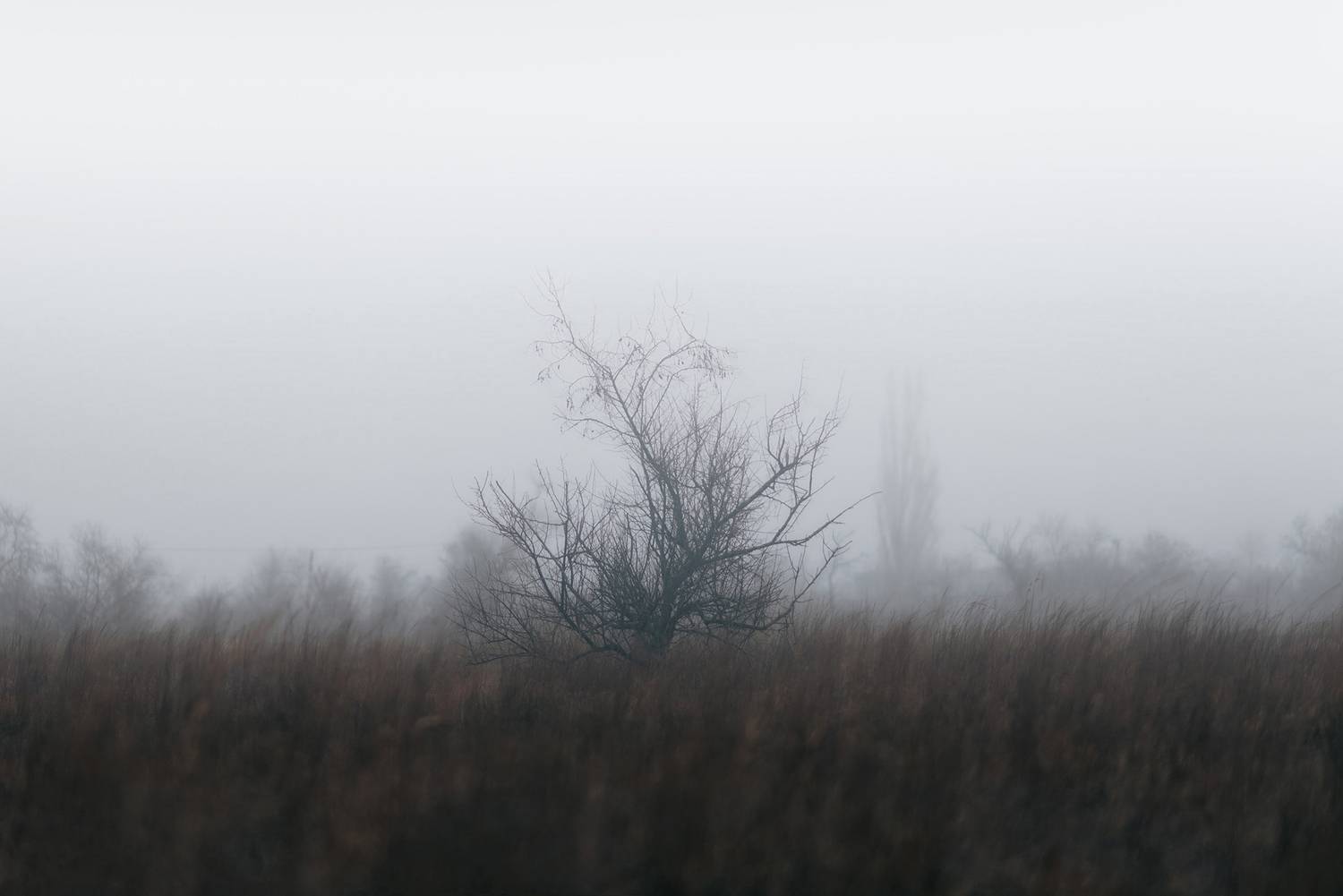 Photo #13665952