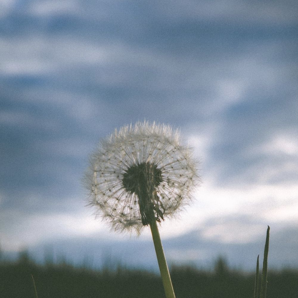 Photograph by Сергей Пыдык