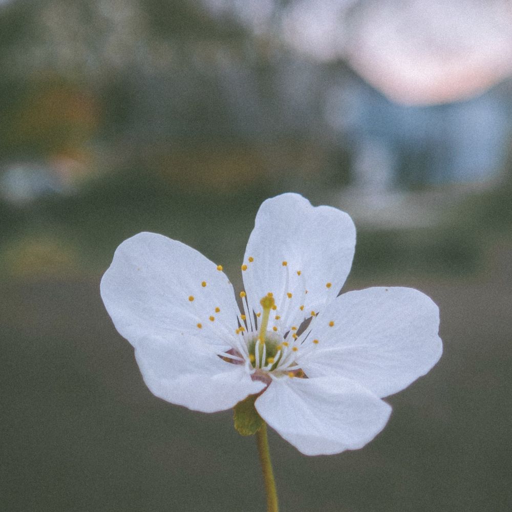 Photograph by Сергей Пыдык