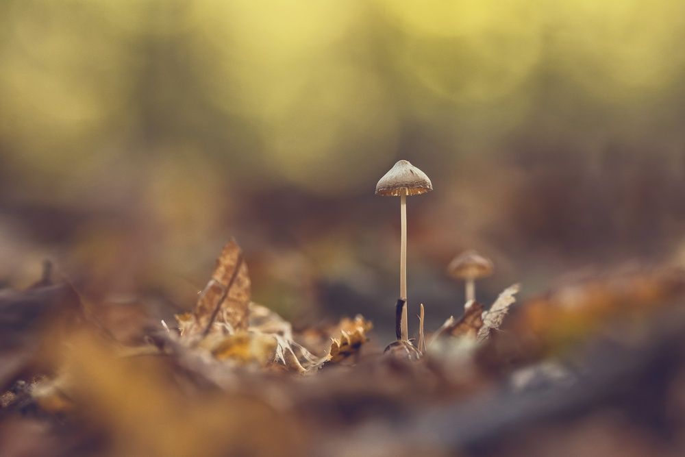 Photograph by Petra Navrátilová
