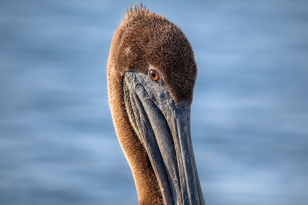 Photograph by Jeff Cooley