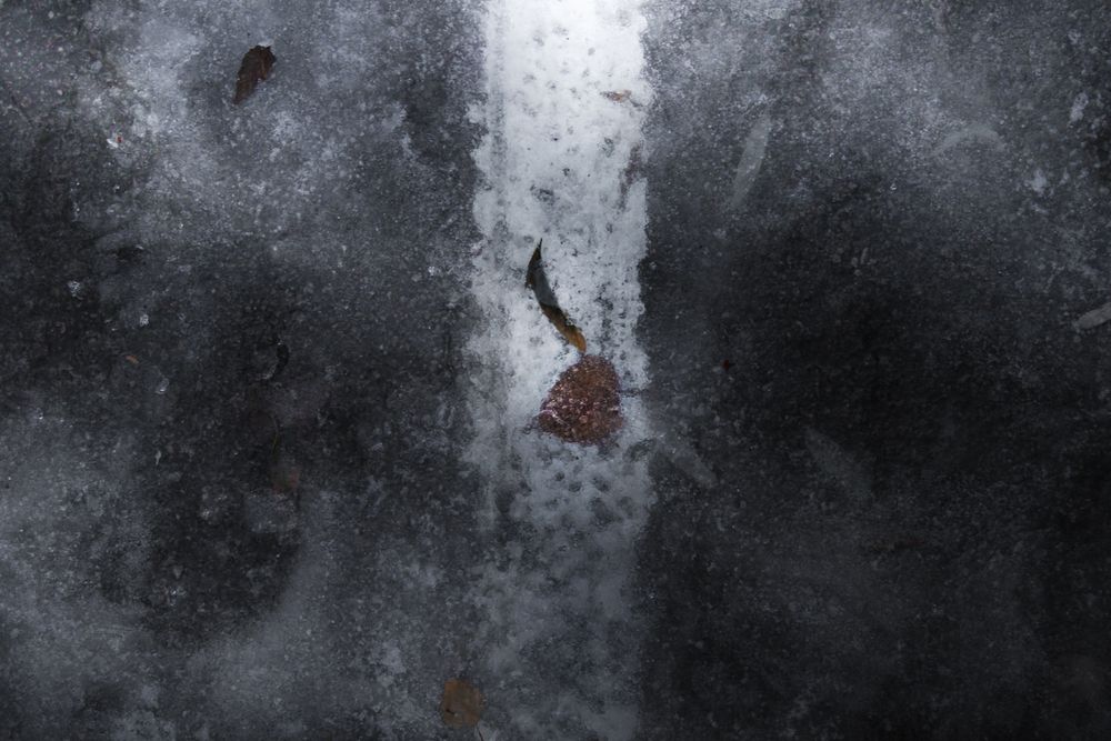 Photograph by Theodotus