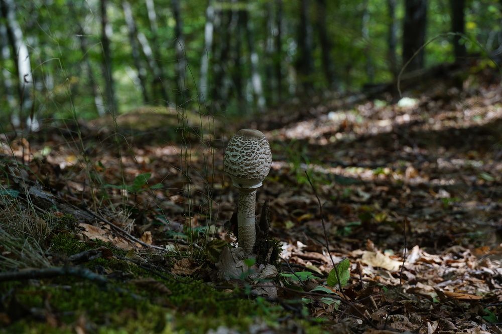 Photograph by света хлевненко
