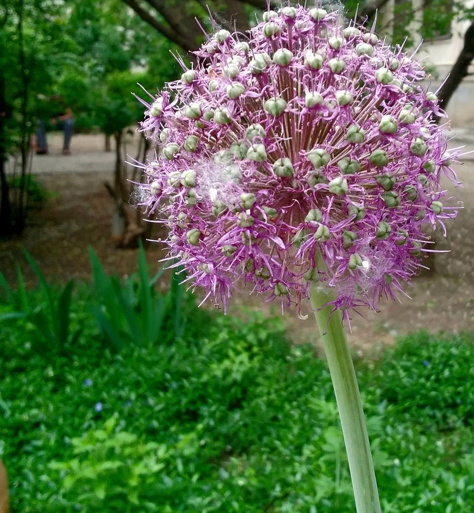 Photograph by Марта Васильева