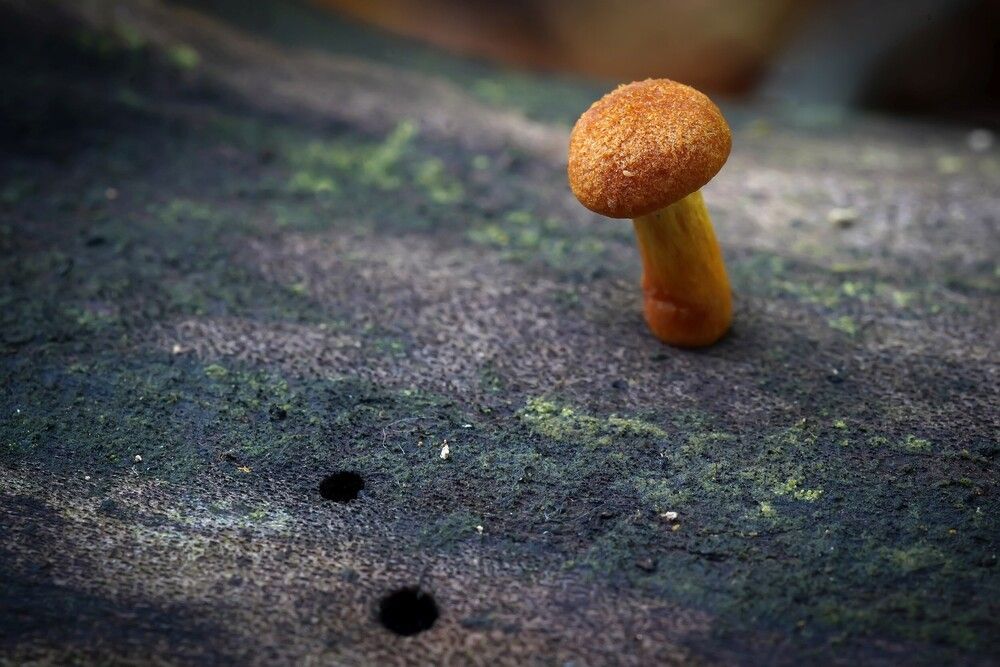 Photograph by Сергей Прокофьев