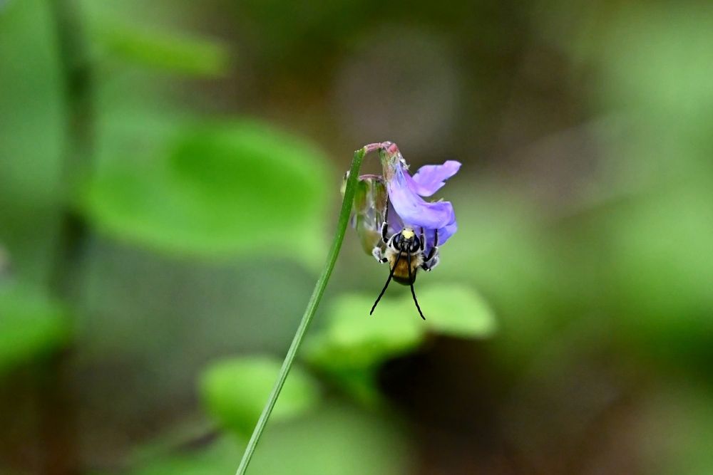 Photograph by Игорь Седунов