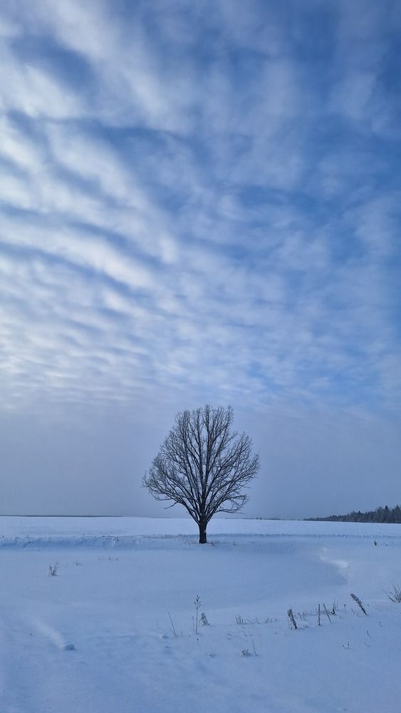 Фотография автора Vital Fralou