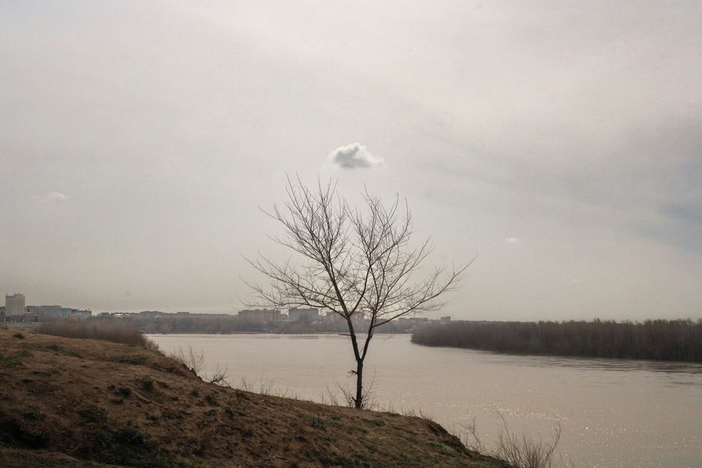 Photograph by Theodotus
