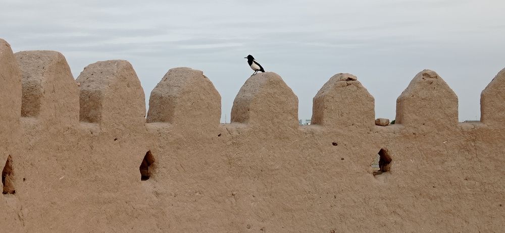 Photograph by Лариса Неудачина