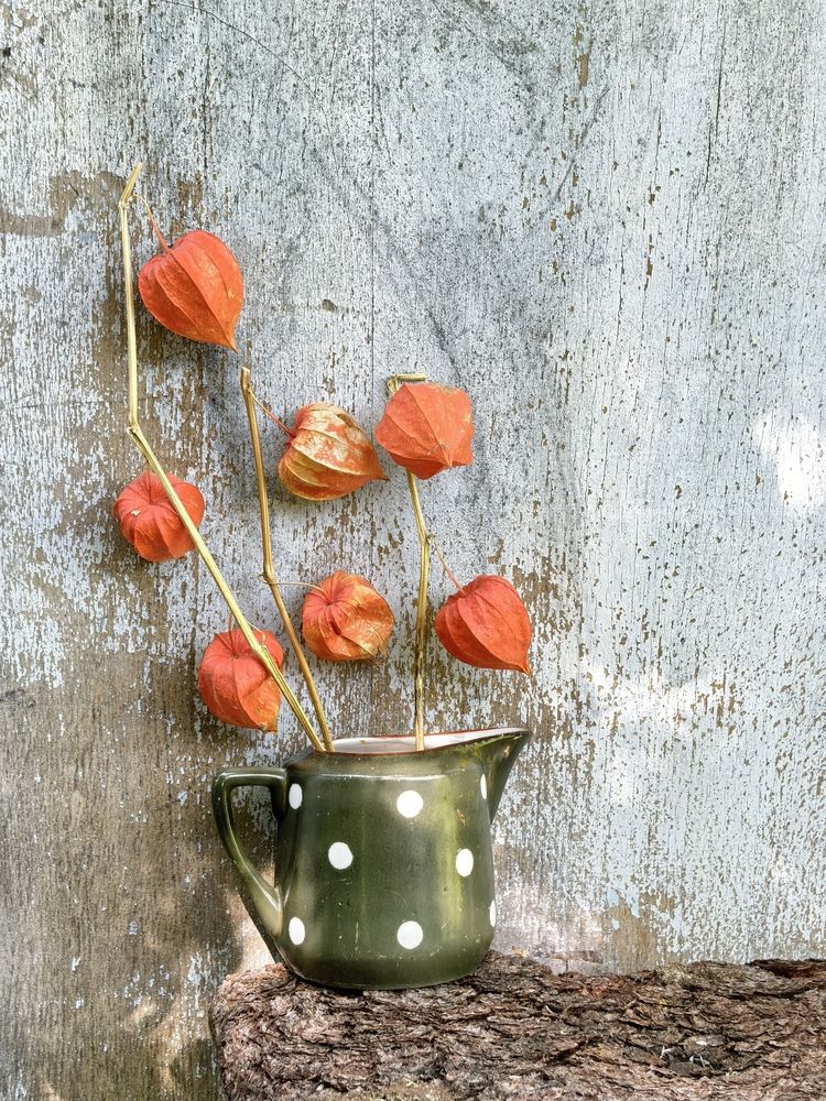 Photograph by Елена Охапкина