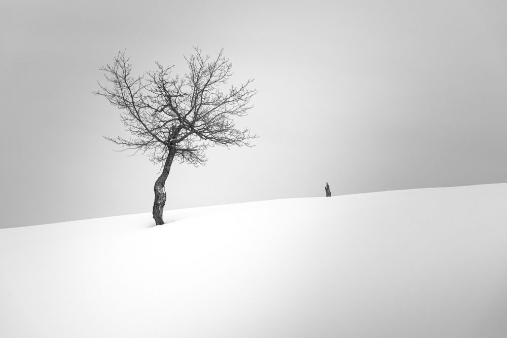 Photograph by Татьяна Бирюкова