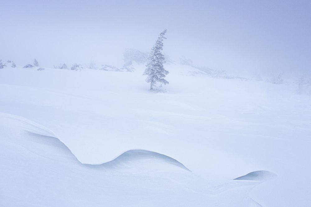 Photograph by Татьяна Бирюкова