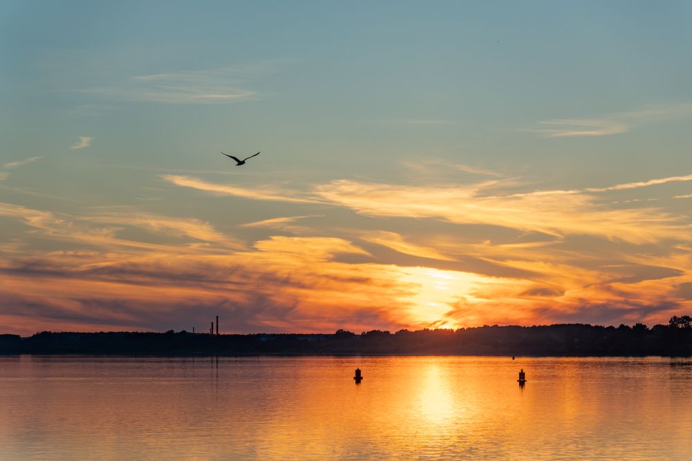 Photograph by Александр Колляков