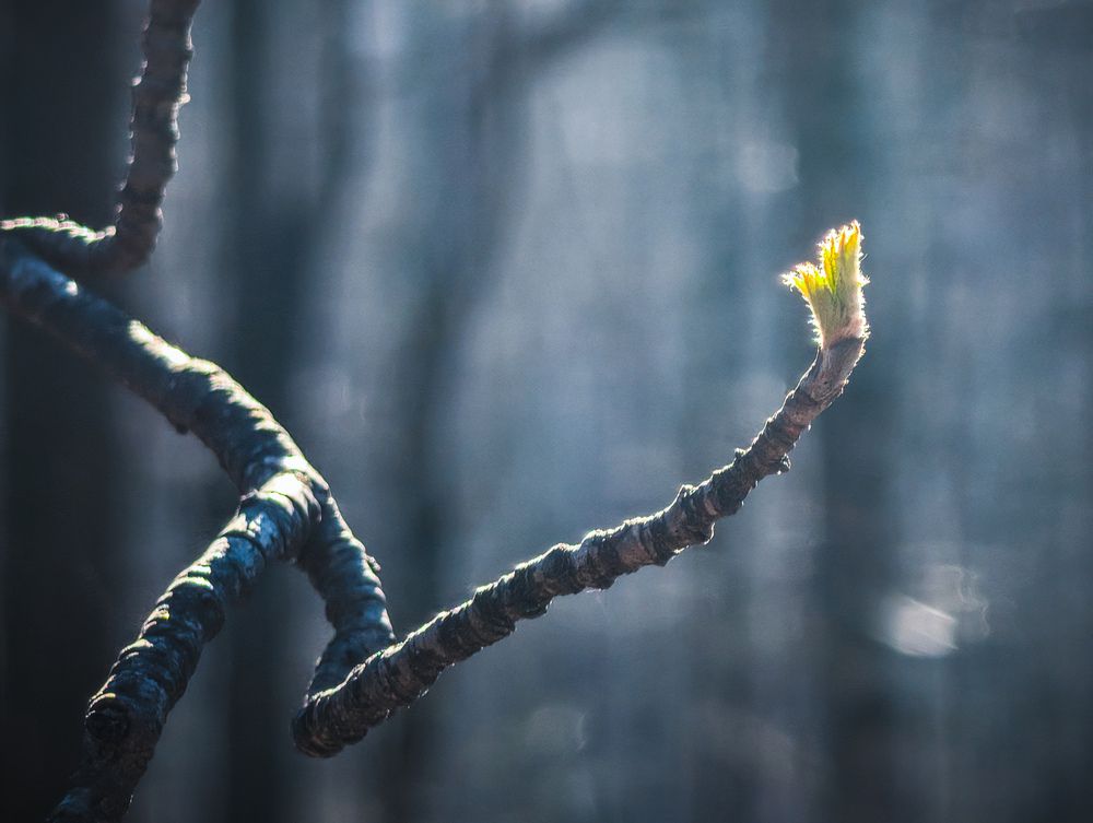 Photograph by Дмитрий Писарев