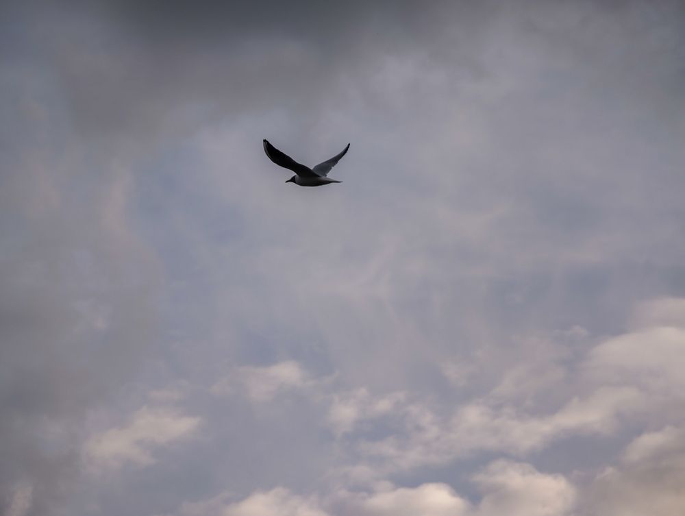 Photograph by Евгений Порсов