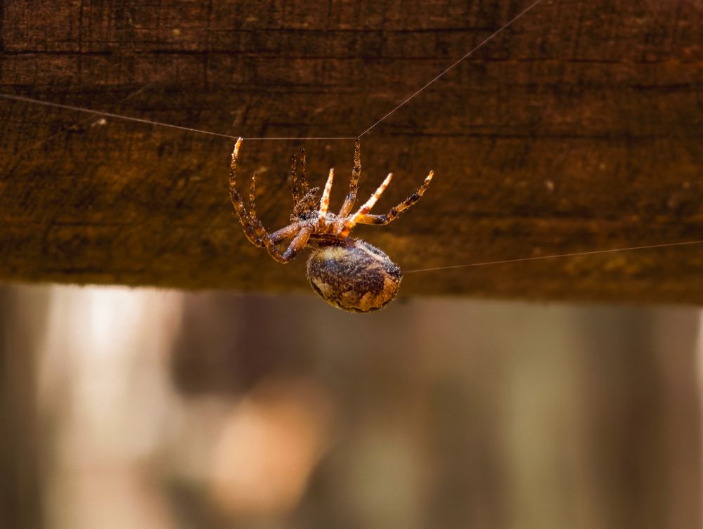 Photograph by Евгений Порсов