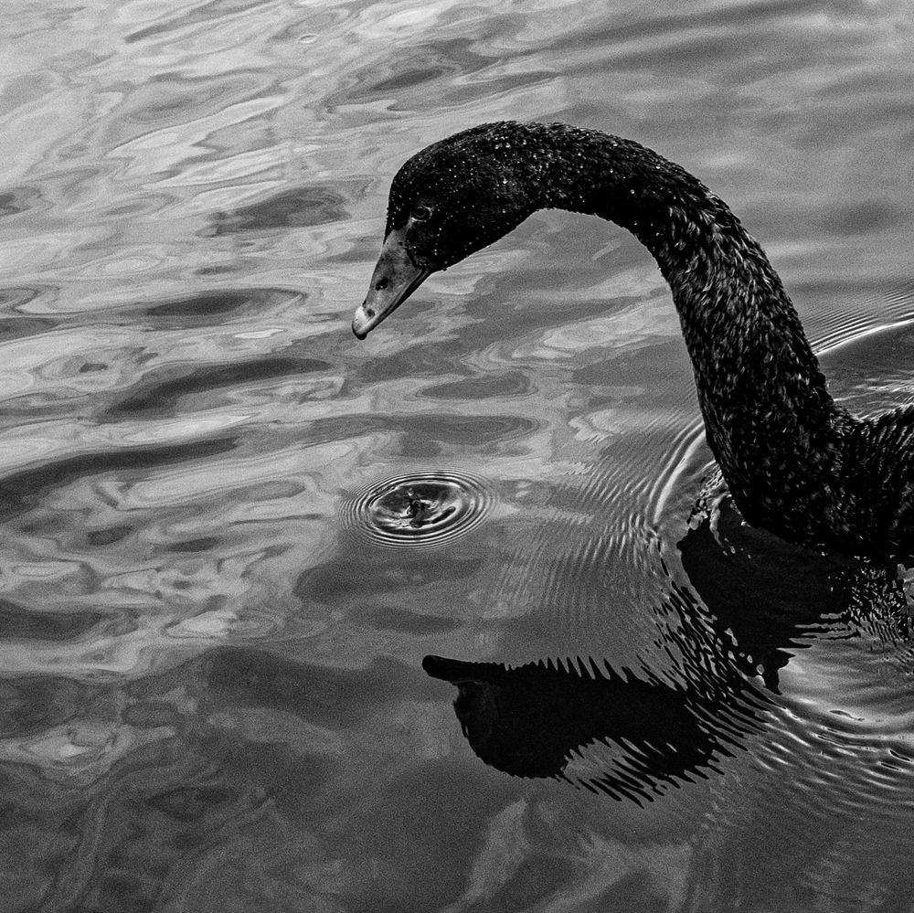 Photograph by Андрей Рябов