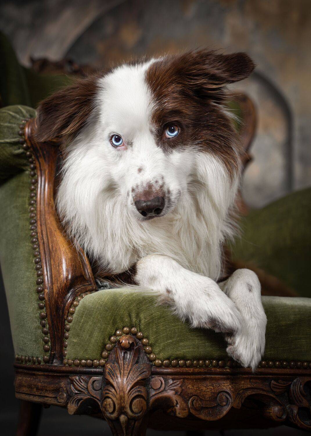 A Seat of Honor