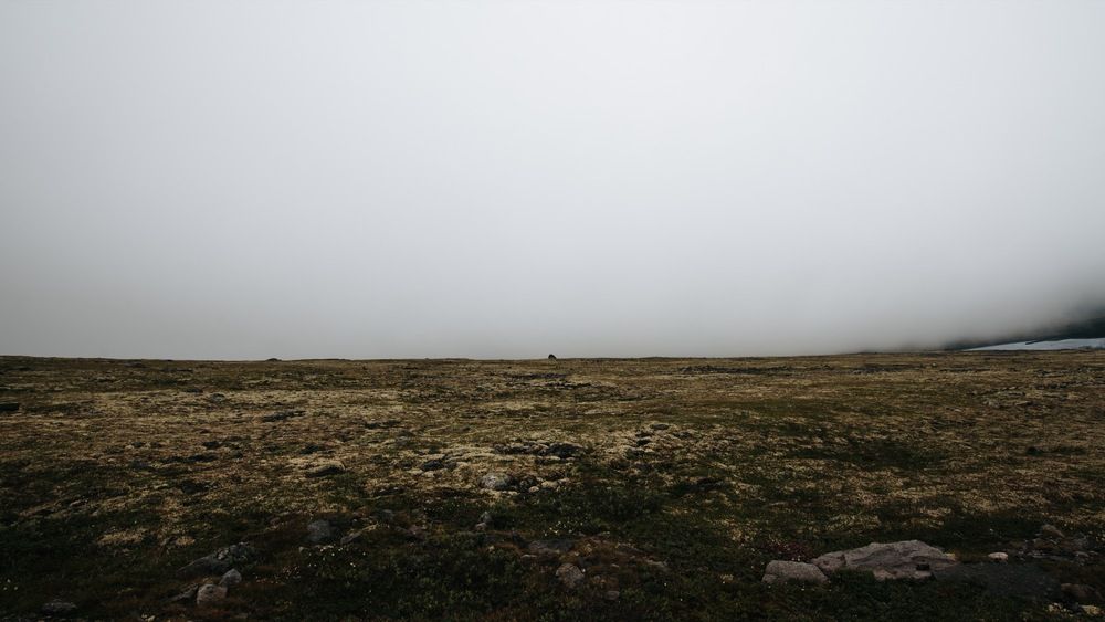 Photo #13666929