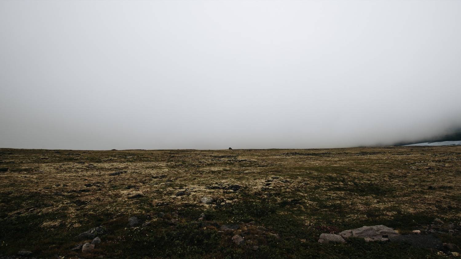Photo #13666929