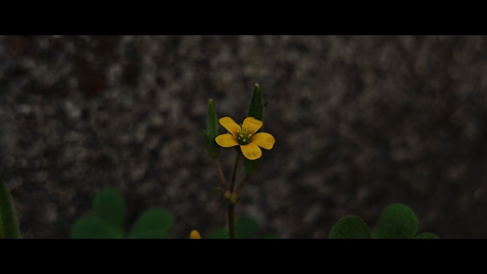 Photograph by Navya Modi