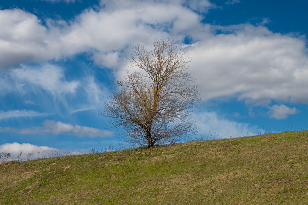 Photograph by Антон Щербаков