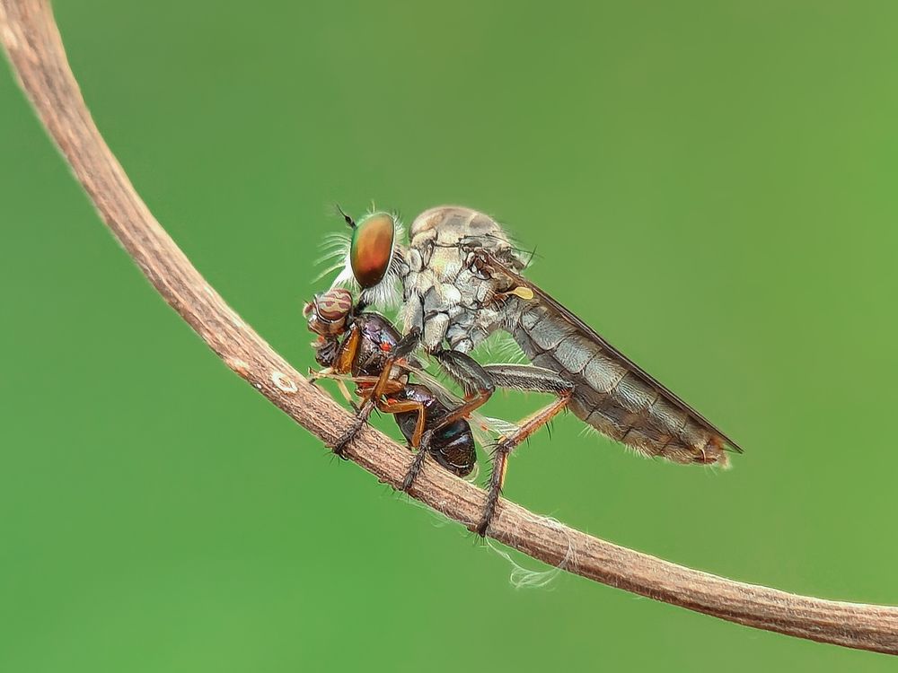 Photograph by Akash Pani