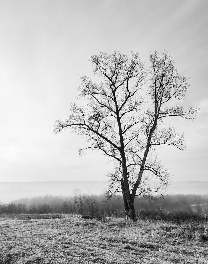 Photograph by Kirill Frolov