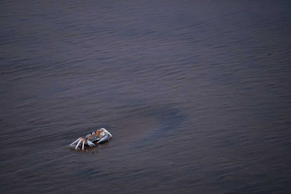 Photograph by Devanand K S