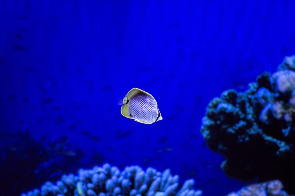Photograph by Виталий Са