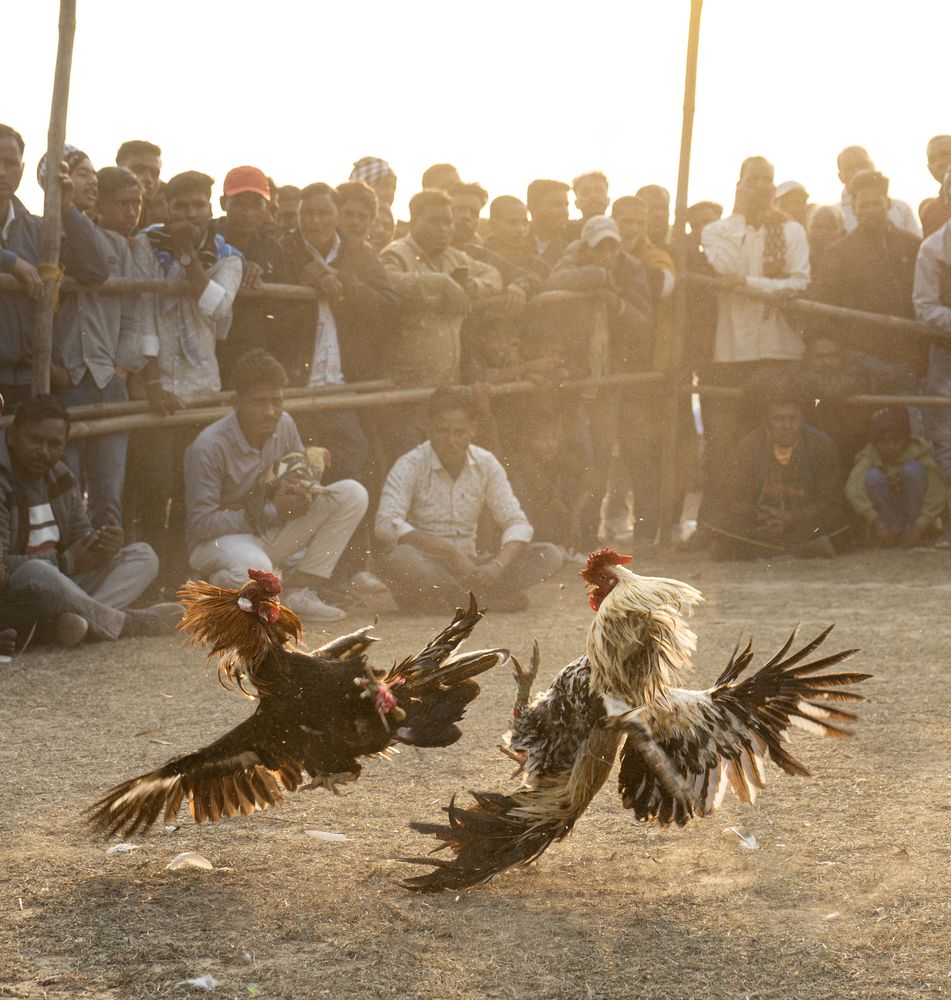 Clash at Dusk
