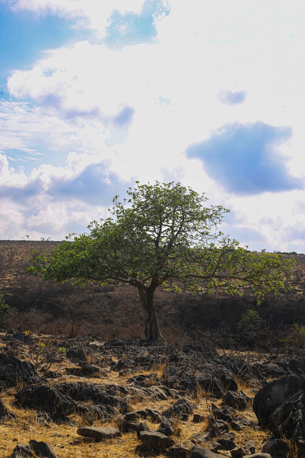 Photo #13667223