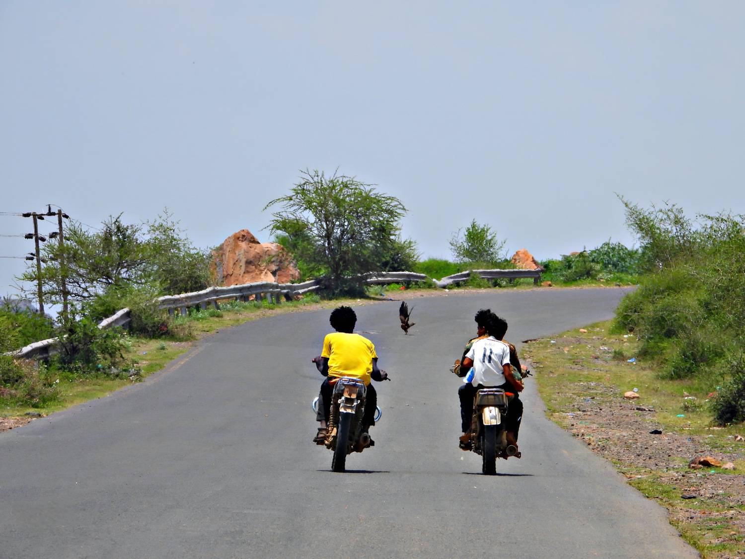 Road Companions