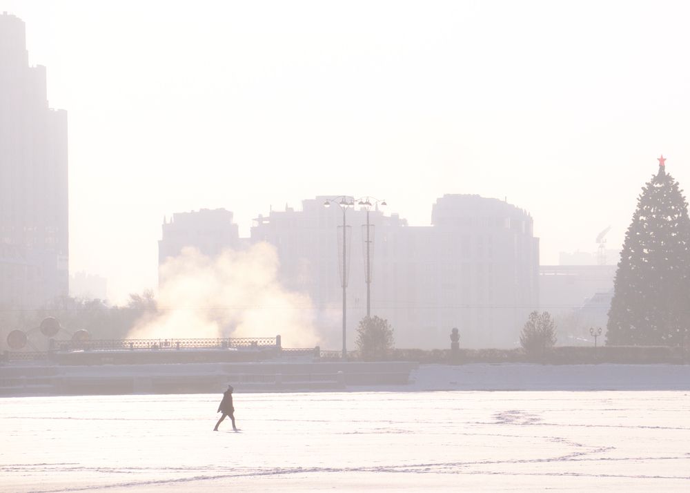 Photo #13667295