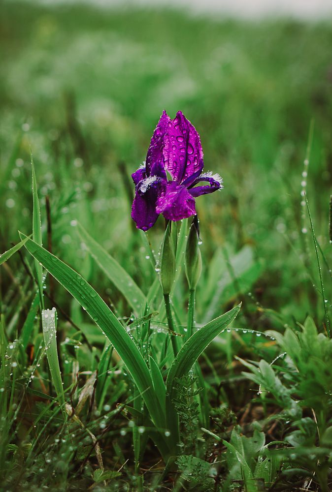 Photograph by Вадим Карпов