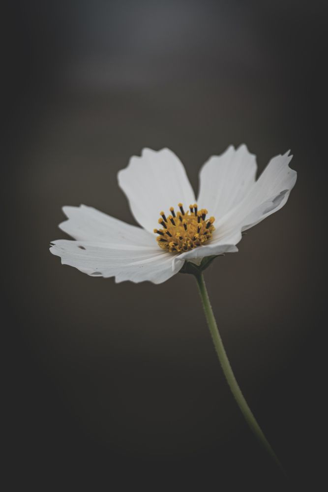 Photograph by Michelle Hart