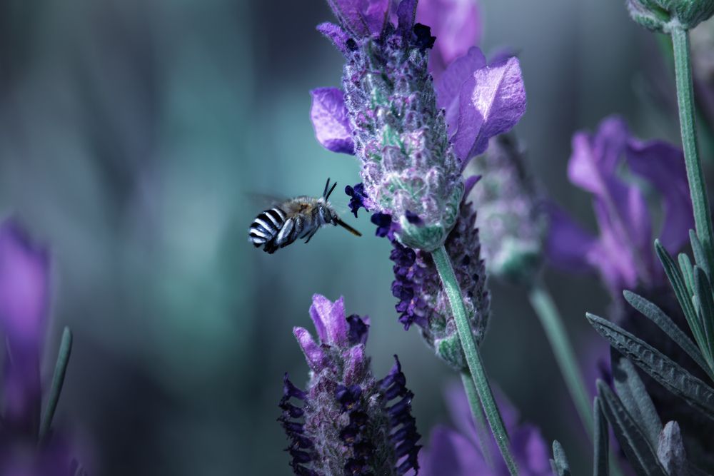 Photograph by Michelle Hart