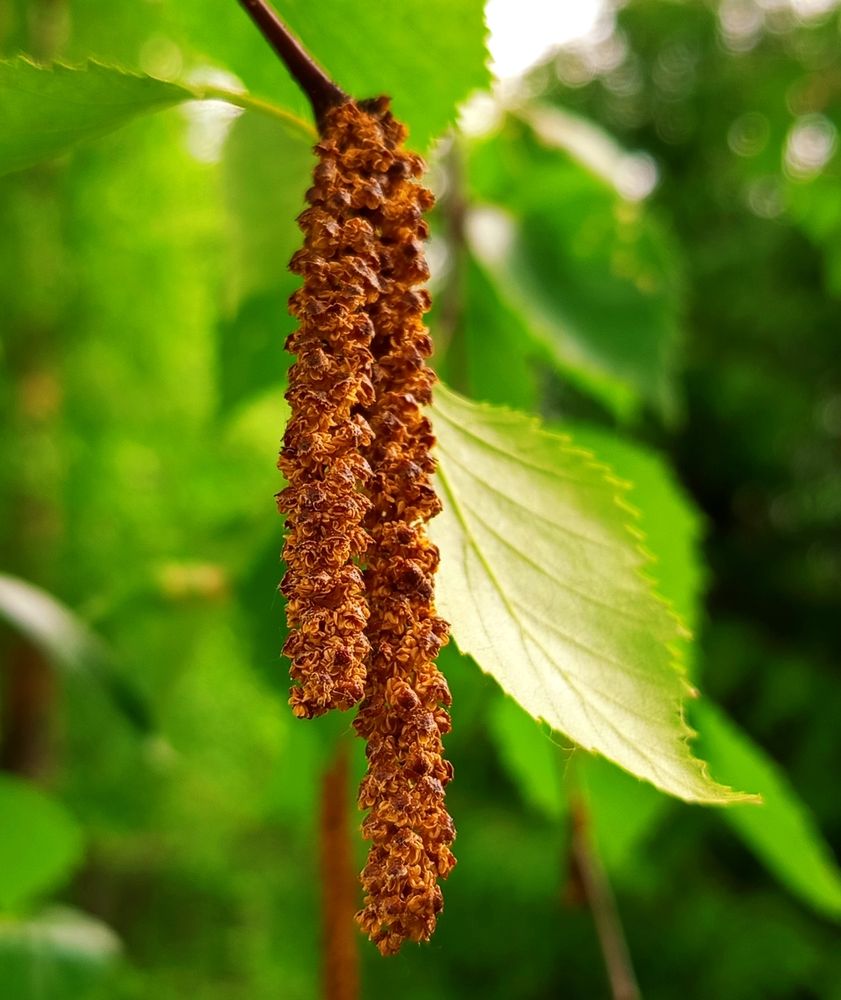 Photograph by Ирина Букреева