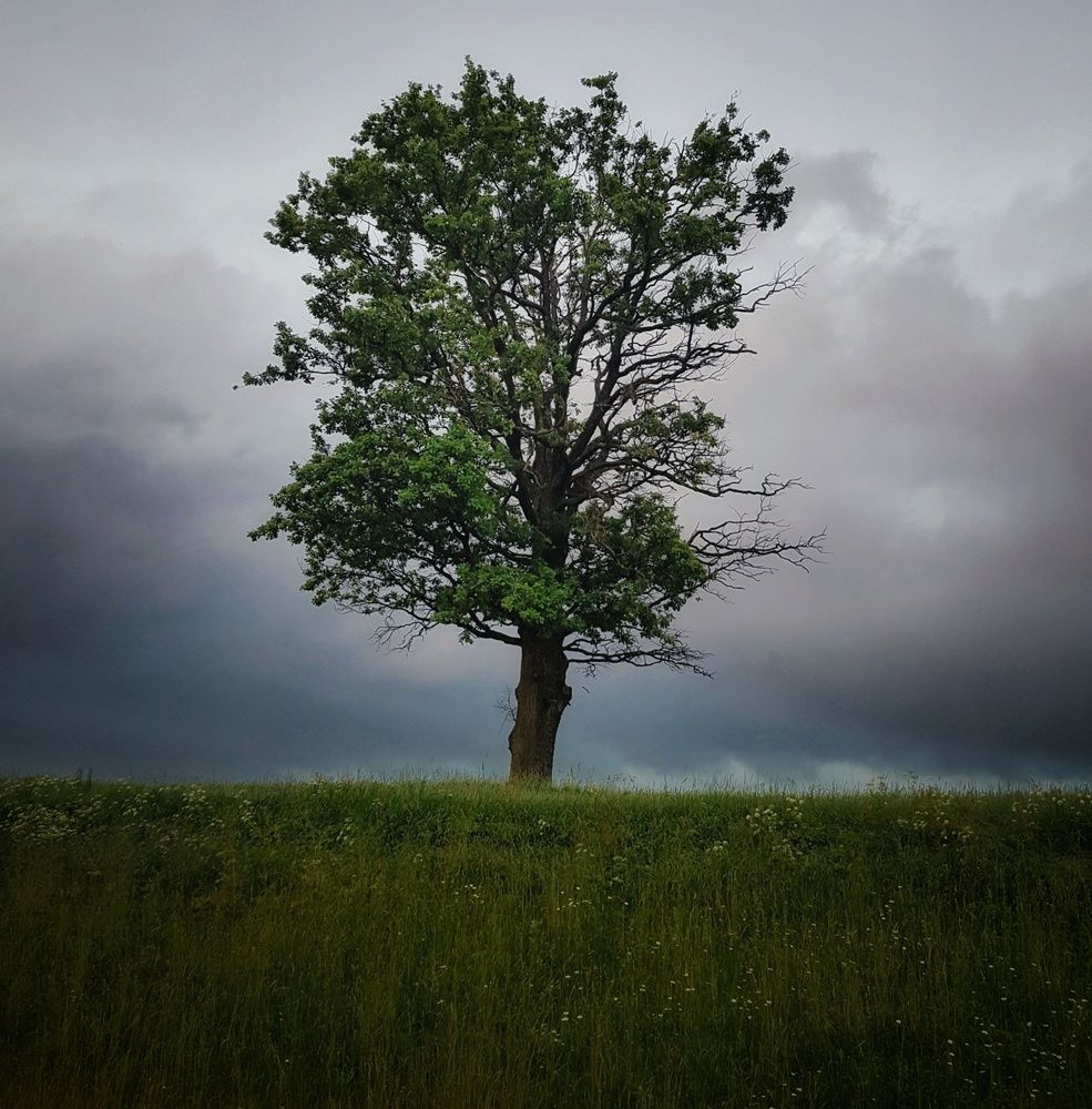 Photograph by артём мякинник