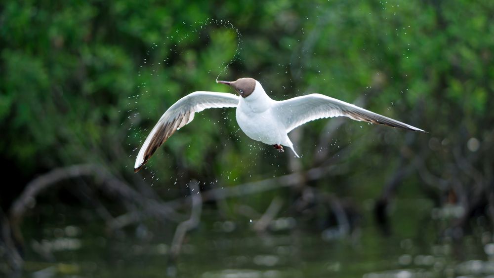 Photograph by Jørgen Hovde