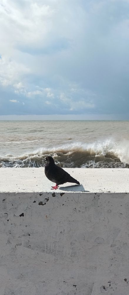 Photograph by СЕРГЕЙ СЕЛЯНИНОВ