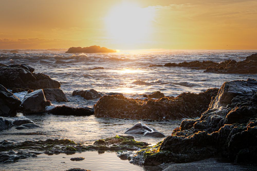 Photograph by Miroslava Sevastianova