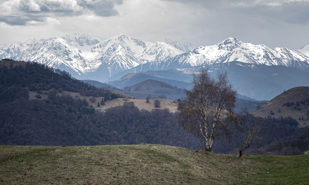 Photograph by Алексей Мякота