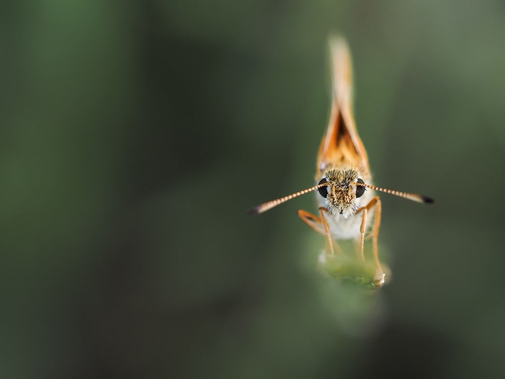 Photograph by Orsolya Eszter Nagy