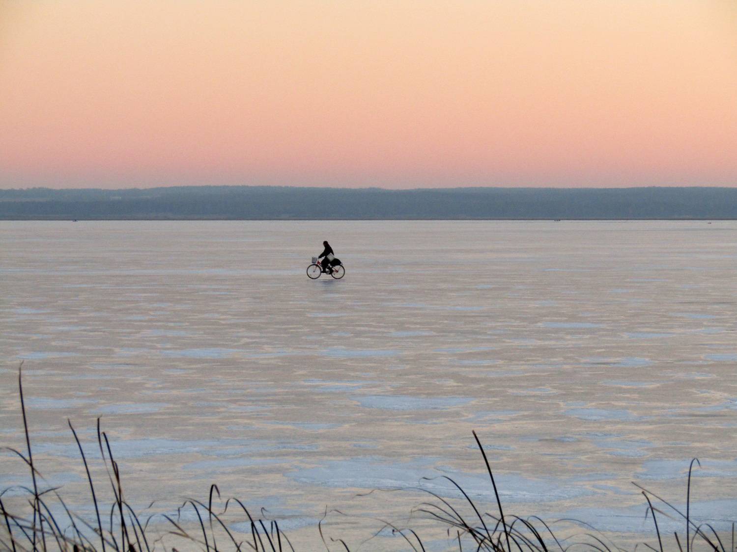Photo #13667778