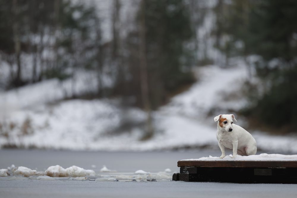 Photograph by Яна Нарбутович